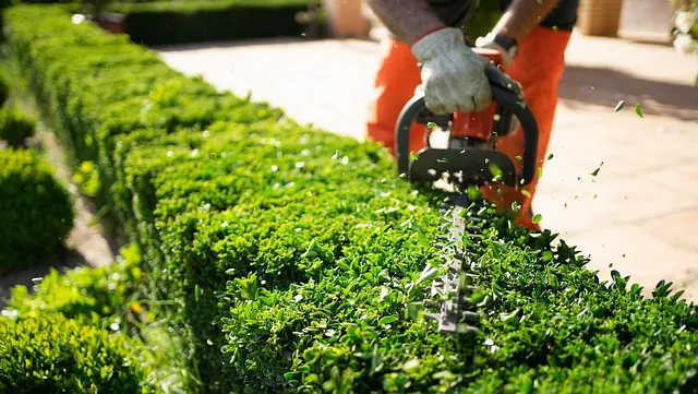 Hedge Trimming