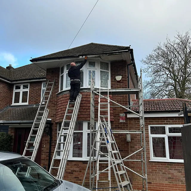 Roof cleaning